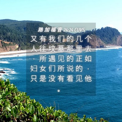 Picture 04 - 路 加 福 音 24:24 CUVS - 又 有 我 们 的 几 个 人 往 坟 墓 那 - Bible Verse Picture