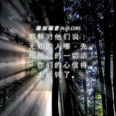Picture 04 - 路 加 福 音 24:25 CUVS - 耶 稣 对 他 们 说 ： 无 知 的 人 哪 - Bible Verse Picture