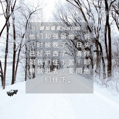 Picture 04 - 路 加 福 音 24:29 CUVS - 他 们 却 强 留 他 ， 说 ： 时 候 晚 - Bible Verse Picture