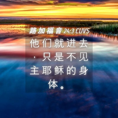 Picture 04 - 路 加 福 音 24:3 CUVS - 他 们 就 进 去 ， 只 是 不 见 主 耶 - Bible Verse Picture