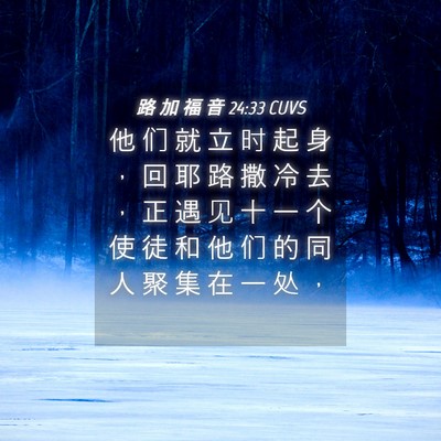Picture 04 - 路 加 福 音 24:33 CUVS - 他 们 就 立 时 起 身 ， 回 耶 路 撒 - Bible Verse Picture