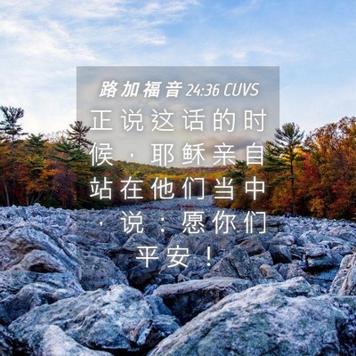 Picture 04 - 路 加 福 音 24:36 CUVS - 正 说 这 话 的 时 候 ， 耶 稣 亲 自 - Bible Verse Picture