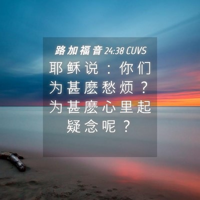 Picture 04 - 路 加 福 音 24:38 CUVS - 耶 稣 说 ： 你 们 为 甚 麽 愁 烦 ？ - Bible Verse Picture