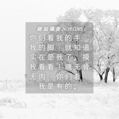 Picture 04 - 路 加 福 音 24:39 CUVS - 你 们 看 我 的 手 ， 我 的 脚 ， 就 - Bible Verse Picture