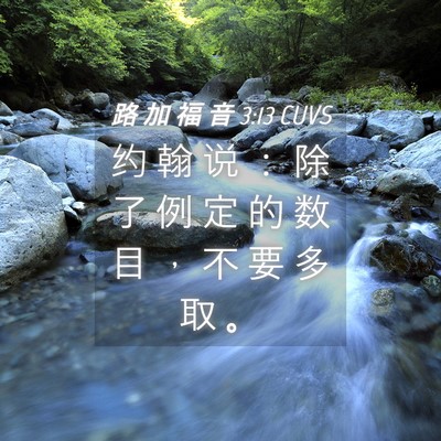 Picture 04 - 路 加 福 音 3:13 CUVS - 约 翰 说 ： 除 了 例 定 的 数 目 ， - Bible Verse Picture