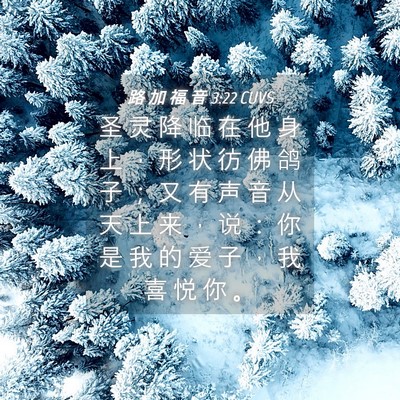 Picture 04 - 路 加 福 音 3:22 CUVS - 圣 灵 降 临 在 他 身 上 ， 形 状 彷 - Bible Verse Picture