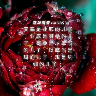 Picture 04 - 路 加 福 音 3:28 CUVS - 麦 基 是 亚 底 的 儿 子 ； 亚 底 是 - Bible Verse Picture