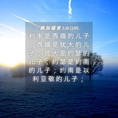 Picture 04 - 路 加 福 音 3:30 CUVS - 利 未 是 西 缅 的 儿 子 ； 西 缅 是 - Bible Verse Picture