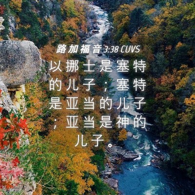 Picture 04 - 路 加 福 音 3:38 CUVS - 以 挪 士 是 塞 特 的 儿 子 ； 塞 特 - Bible Verse Picture