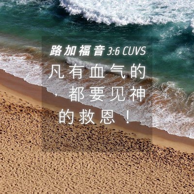 Picture 04 - 路 加 福 音 3:6 CUVS - 凡 有 血 气 的 ， 都 要 见 神 的 救 - Bible Verse Picture