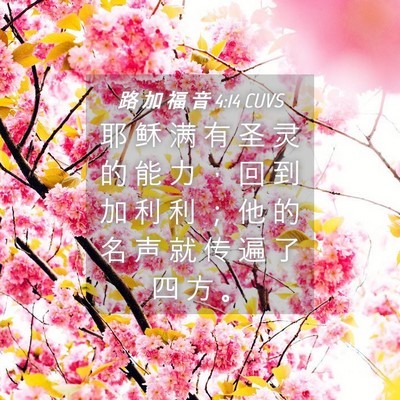 Picture 04 - 路 加 福 音 4:14 CUVS - 耶 稣 满 有 圣 灵 的 能 力 ， 回 到 - Bible Verse Picture