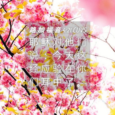 Picture 04 - 路 加 福 音 4:21 CUVS - 耶 稣 对 他 们 说 ： 今 天 这 经 应 - Bible Verse Picture