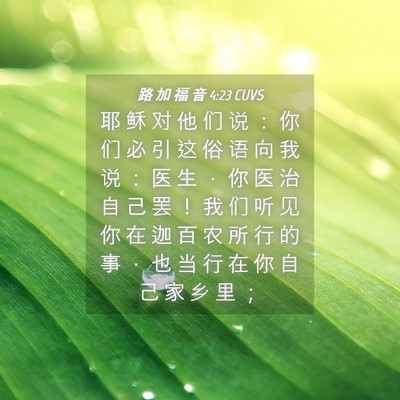 Picture 04 - 路 加 福 音 4:23 CUVS - 耶 稣 对 他 们 说 ： 你 们 必 引 这 - Bible Verse Picture