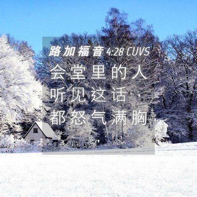 Picture 04 - 路 加 福 音 4:28 CUVS - 会 堂 里 的 人 听 见 这 话 ， 都 怒 - Bible Verse Picture