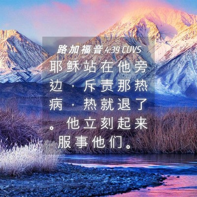Picture 04 - 路 加 福 音 4:39 CUVS - 耶 稣 站 在 他 旁 边 ， 斥 责 那 热 - Bible Verse Picture