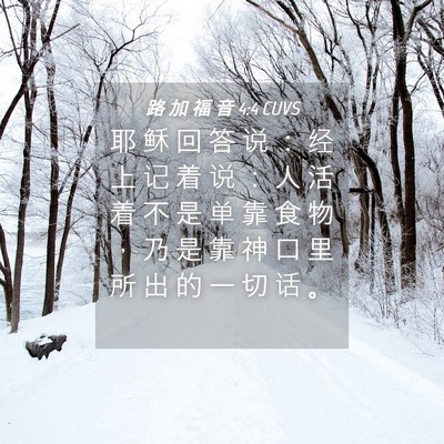 Picture 04 - 路 加 福 音 4:4 CUVS - 耶 稣 回 答 说 ： 经 上 记 着 说 ： - Bible Verse Picture