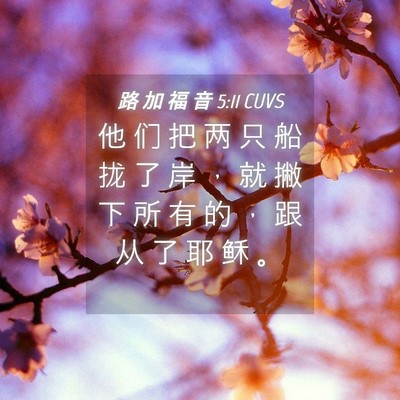 Picture 04 - 路 加 福 音 5:11 CUVS - 他 们 把 两 只 船 拢 了 岸 ， 就 撇 - Bible Verse Picture