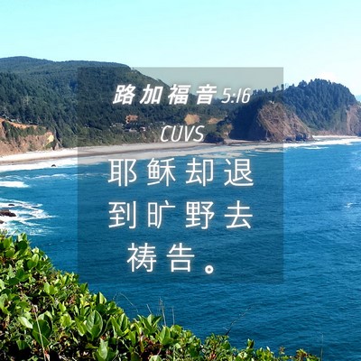 Picture 04 - 路 加 福 音 5:16 CUVS - 耶 稣 却 退 到 旷 野 去 祷 告 - Bible Verse Picture