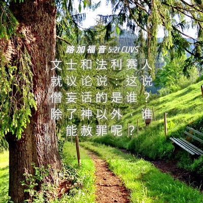 Picture 04 - 路 加 福 音 5:21 CUVS - 文 士 和 法 利 赛 人 就 议 论 说 ： - Bible Verse Picture