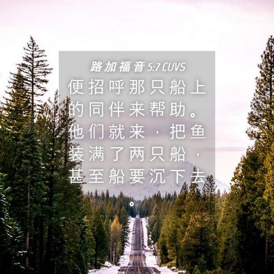 Picture 04 - 路 加 福 音 5:7 CUVS - 便 招 呼 那 只 船 上 的 同 伴 来 帮 - Bible Verse Picture