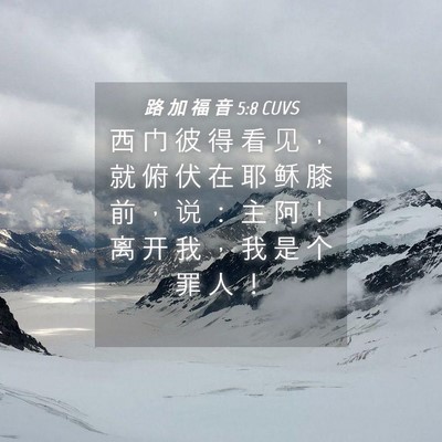 Picture 04 - 路 加 福 音 5:8 CUVS - 西 门 彼 得 看 见 ， 就 俯 伏 在 耶 - Bible Verse Picture