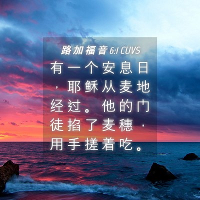 Picture 04 - 路 加 福 音 6:1 CUVS - 有 一 个 安 息 日 ， 耶 稣 从 麦 地 - Bible Verse Picture
