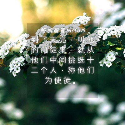 Picture 04 - 路 加 福 音 6:13 CUVS - 到 了 天 亮 ， 叫 他 的 门 徒 来 ， - Bible Verse Picture