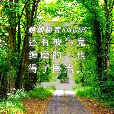 Picture 04 - 路 加 福 音 6:18 CUVS - 还 有 被 污 鬼 缠 磨 的 ， 也 得 了 - Bible Verse Picture