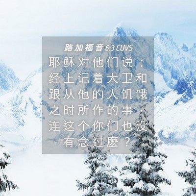 Picture 04 - 路 加 福 音 6:3 CUVS - 耶 稣 对 他 们 说 ： 经 上 记 着 大 - Bible Verse Picture