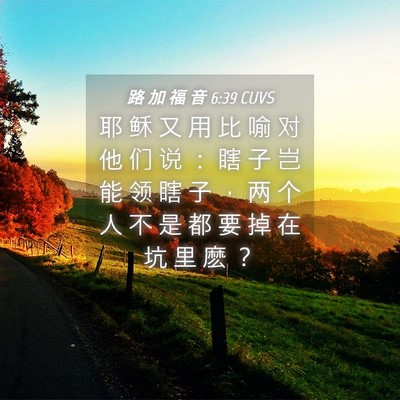 Picture 04 - 路 加 福 音 6:39 CUVS - 耶 稣 又 用 比 喻 对 他 们 说 ： 瞎 - Bible Verse Picture