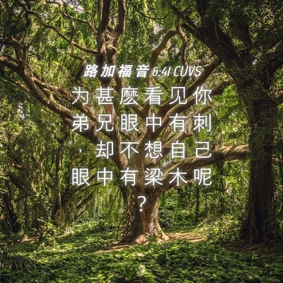 Picture 04 - 路 加 福 音 6:41 CUVS - 为 甚 麽 看 见 你 弟 兄 眼 中 有 刺 - Bible Verse Picture