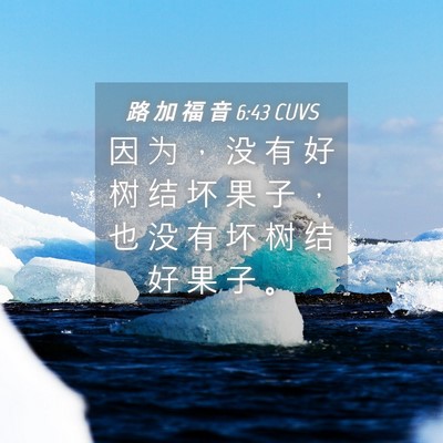 Picture 04 - 路 加 福 音 6:43 CUVS - 因 为 ， 没 有 好 树 结 坏 果 子 ， - Bible Verse Picture