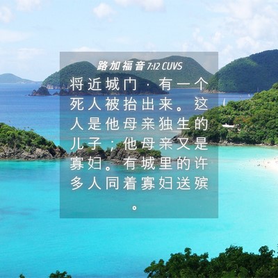 Picture 04 - 路 加 福 音 7:12 CUVS - 将 近 城 门 ， 有 一 个 死 人 被 抬 - Bible Verse Picture