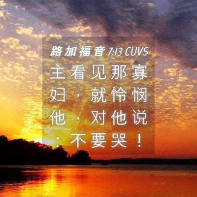 Picture 04 - 路 加 福 音 7:13 CUVS - 主 看 见 那 寡 妇 ， 就 怜 悯 他 ， - Bible Verse Picture