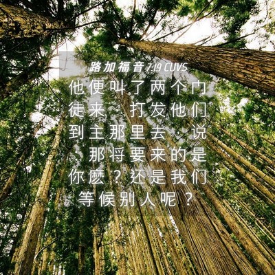 Picture 04 - 路 加 福 音 7:19 CUVS - 他 便 叫 了 两 个 门 徒 来 ， 打 发 - Bible Verse Picture