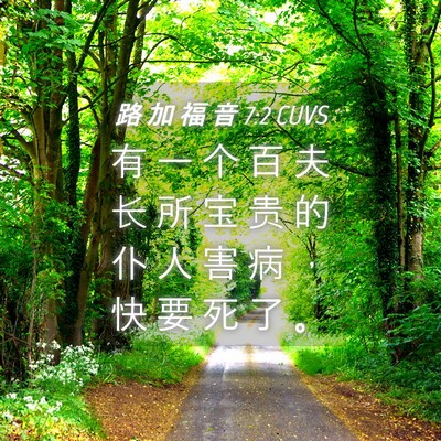 Picture 04 - 路 加 福 音 7:2 CUVS - 有 一 个 百 夫 长 所 宝 贵 的 仆 人 - Bible Verse Picture