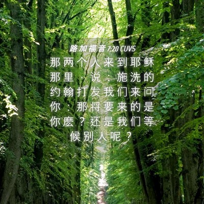 Picture 04 - 路 加 福 音 7:20 CUVS - 那 两 个 人 来 到 耶 稣 那 里 ， 说 - Bible Verse Picture