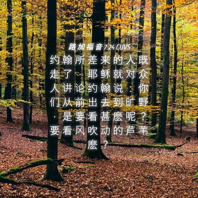 Picture 04 - 路 加 福 音 7:24 CUVS - 约 翰 所 差 来 的 人 既 走 了 ， 耶 - Bible Verse Picture