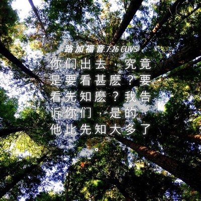 Picture 04 - 路 加 福 音 7:26 CUVS - 你 们 出 去 ， 究 竟 是 要 看 甚 麽 - Bible Verse Picture