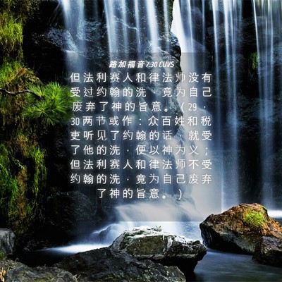 Picture 04 - 路 加 福 音 7:30 CUVS - 但 法 利 赛 人 和 律 法 师 没 有 受 - Bible Verse Picture