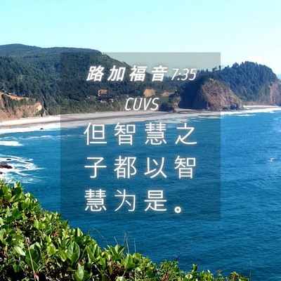 Picture 04 - 路 加 福 音 7:35 CUVS - 但 智 慧 之 子 都 以 智 慧 为 是 - Bible Verse Picture