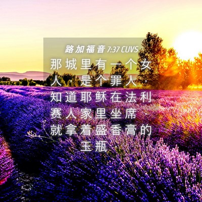 Picture 04 - 路 加 福 音 7:37 CUVS - 那 城 里 有 一 个 女 人 ， 是 个 罪 - Bible Verse Picture