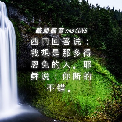 Picture 04 - 路 加 福 音 7:43 CUVS - 西 门 回 答 说 ： 我 想 是 那 多 得 - Bible Verse Picture