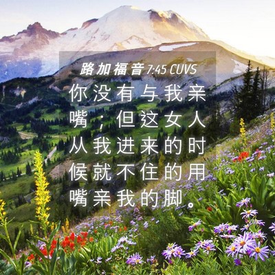 Picture 04 - 路 加 福 音 7:45 CUVS - 你 没 有 与 我 亲 嘴 ； 但 这 女 人 - Bible Verse Picture