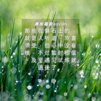 Picture 04 - 路 加 福 音 8:13 CUVS - 那 些 在 磐 石 上 的 ， 就 是 人 听 - Bible Verse Picture