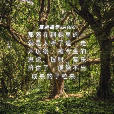Picture 04 - 路 加 福 音 8:14 CUVS - 那 落 在 荆 棘 里 的 ， 就 是 人 听 - Bible Verse Picture