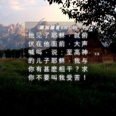 Picture 04 - 路 加 福 音 8:28 CUVS - 他 见 了 耶 稣 ， 就 俯 伏 在 他 面 - Bible Verse Picture