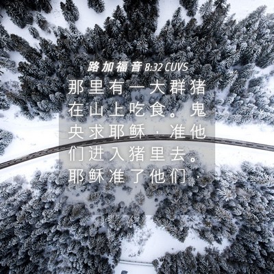 Picture 04 - 路 加 福 音 8:32 CUVS - 那 里 有 一 大 群 猪 在 山 上 吃 食 - Bible Verse Picture