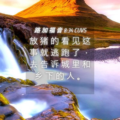 Picture 04 - 路 加 福 音 8:34 CUVS - 放 猪 的 看 见 这 事 就 逃 跑 了 ， - Bible Verse Picture