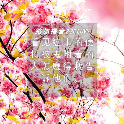 Picture 04 - 路 加 福 音 8:36 CUVS - 看 见 这 事 的 便 将 被 鬼 附 着 的 - Bible Verse Picture
